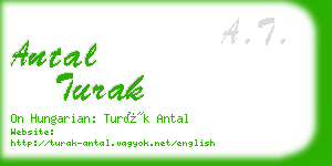 antal turak business card